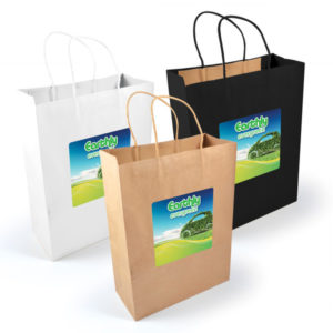 express-paper-bag-large